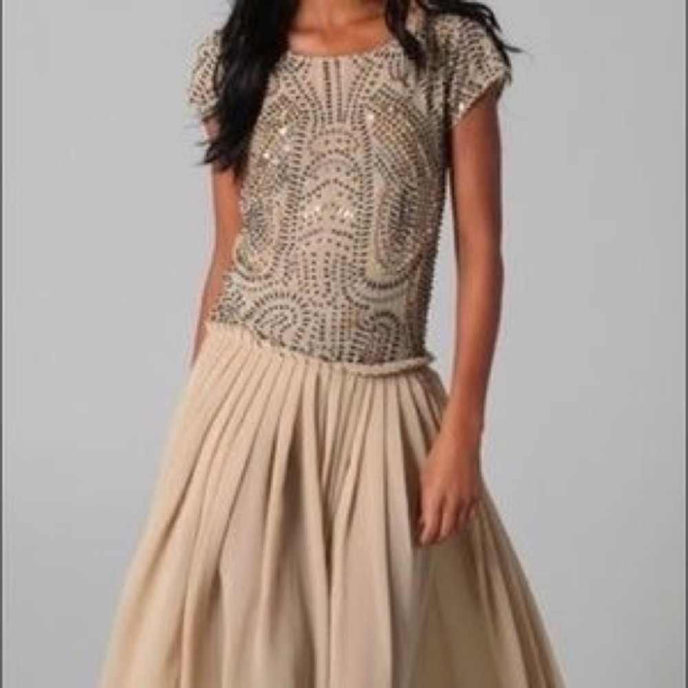 GORGEOUS NWT Long chiffon and beaded dress